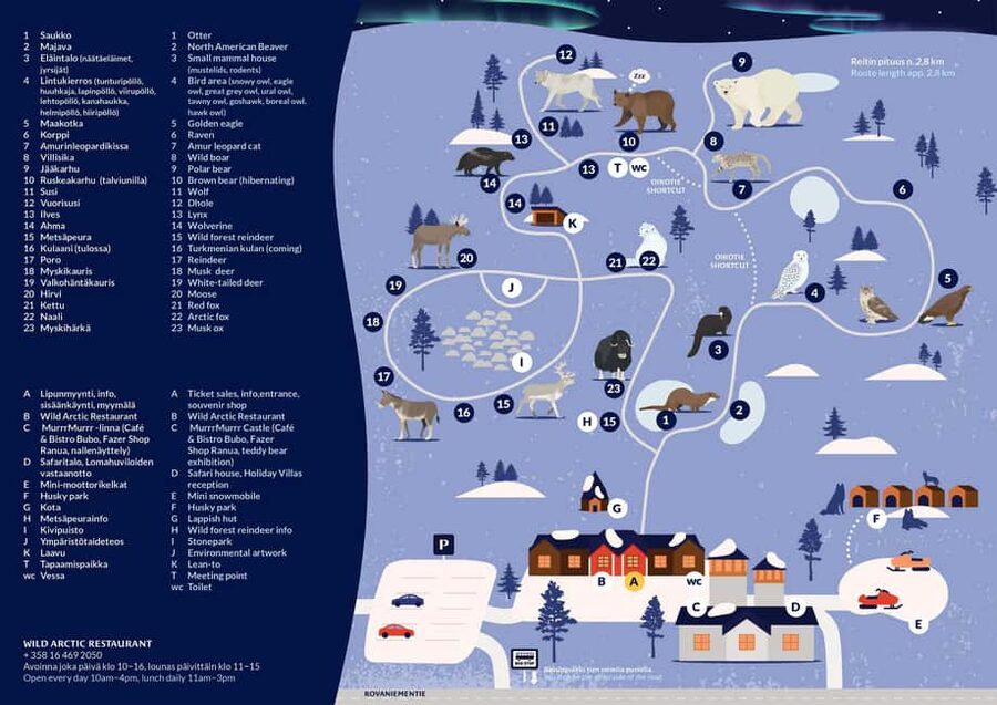 Ranua Zoo - Arctic animals you’re likely to spot on the way