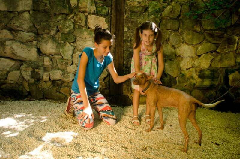 Riviera Maya: Croco Cun Interactive Zoo Tour - Croco Cun Zoo in Riviera Maya: what makes it different