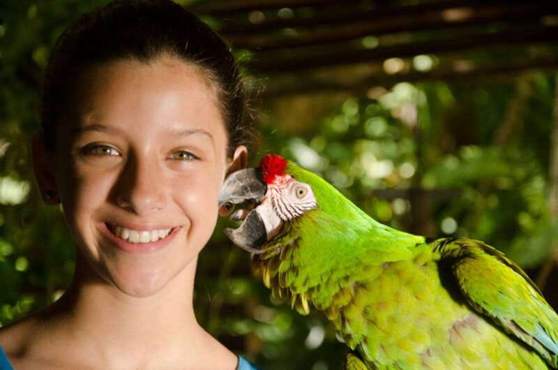 Riviera Maya: Croco Cun Interactive Zoo Tour - The heart of it: touching, holding, and feeding wildlife