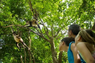 Riviera Maya: Croco Cun Interactive Zoo Tour - How the 1-hour guided tour plays out