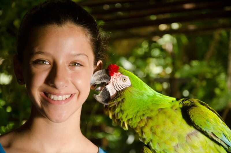 Riviera Maya: Croco Cun Interactive Zoo Tour - Should you book Croco Cun Interactive Zoo Tour?