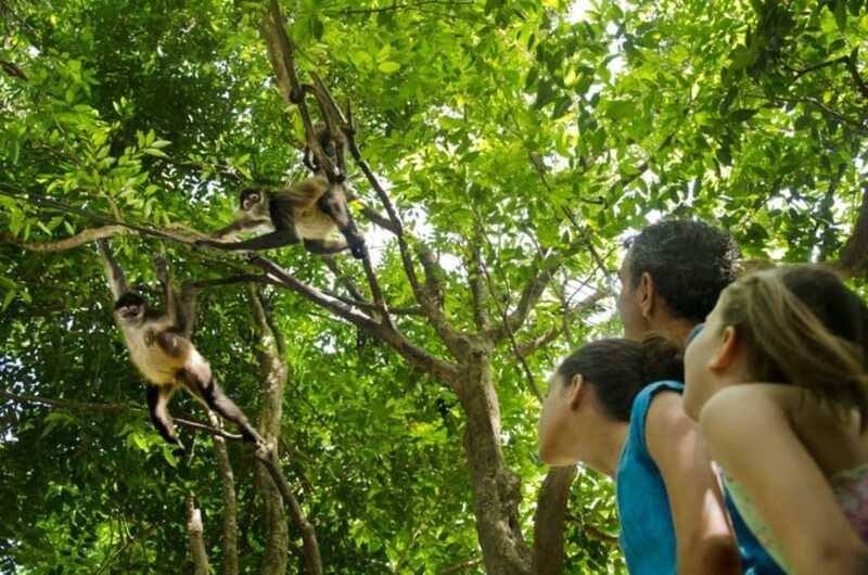 Riviera Maya: Croco Cun Interactive Zoo Tour - How the 1-hour guided tour plays out