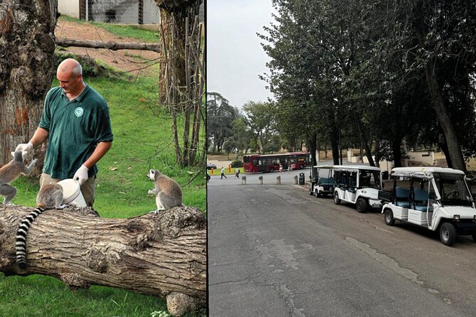 Rome: Entrance ticket Zoo + Golf Cart tour of Villa Borghese - Key highlights you’ll care about