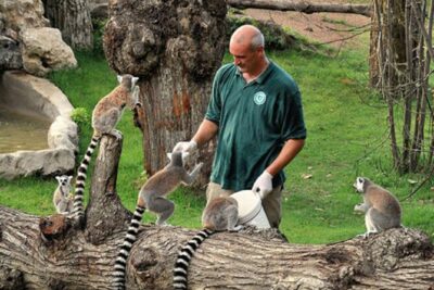 Rome: Entrance ticket Zoo + Golf Cart tour of Villa Borghese - Price and value: is $94.33 a fair deal?