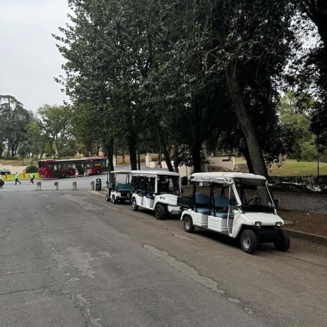 Rome: Zoo entry ticket + Villa Borghese Golf Cart Tour - Key points to know before you go