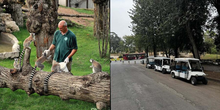 Rome: Zoo entry ticket + Villa Borghese Golf Cart Tour - Mostra dell’Acqua Felice: getting the timing right