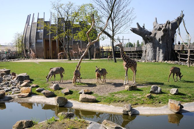 Rotterdam Zoo Diergaarde Blijdorp Direct Entrance Ticket - Key Highlights You’ll Care About