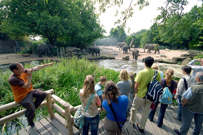 Rotterdam Zoo Diergaarde Blijdorp Direct Entrance Ticket - Getting There in Rotterdam: Transit-Friendly, Parking-Limited