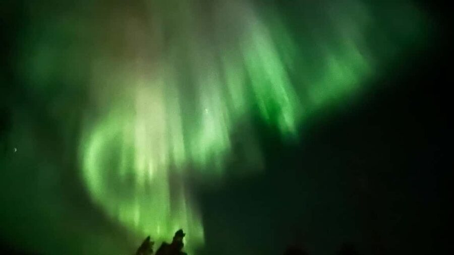 Rovaniemi: All-Inclusive Ranua Zoo Excursion & Aurora Dinner - Rovaniemi departure timing and the drive to Ranua