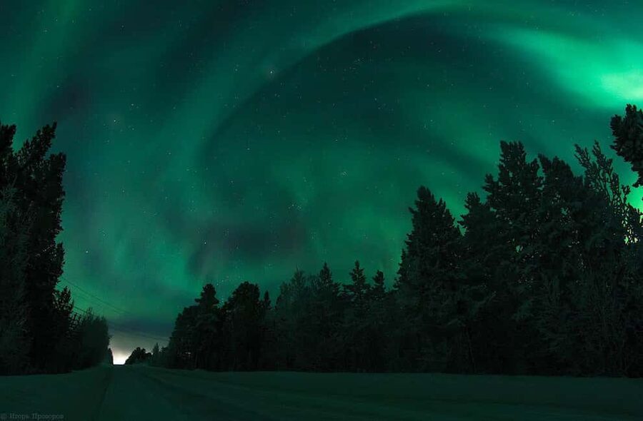 Rovaniemi: All-Inclusive Ranua Zoo Excursion & Aurora Dinner - The Rovaniemi reset: how to use your 3 hours free time