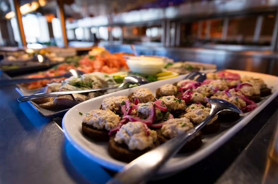 Rovaniemi: Arctic Animals Sleigh Rides and Wildlife Zoo - Lunch in the forest: why the meal is more than fuel