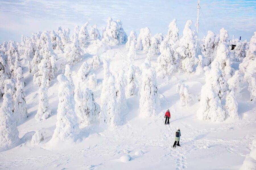Rovaniemi: Arctic Animals Sleigh Rides and Wildlife Zoo - Guide quality and the small details that change the day