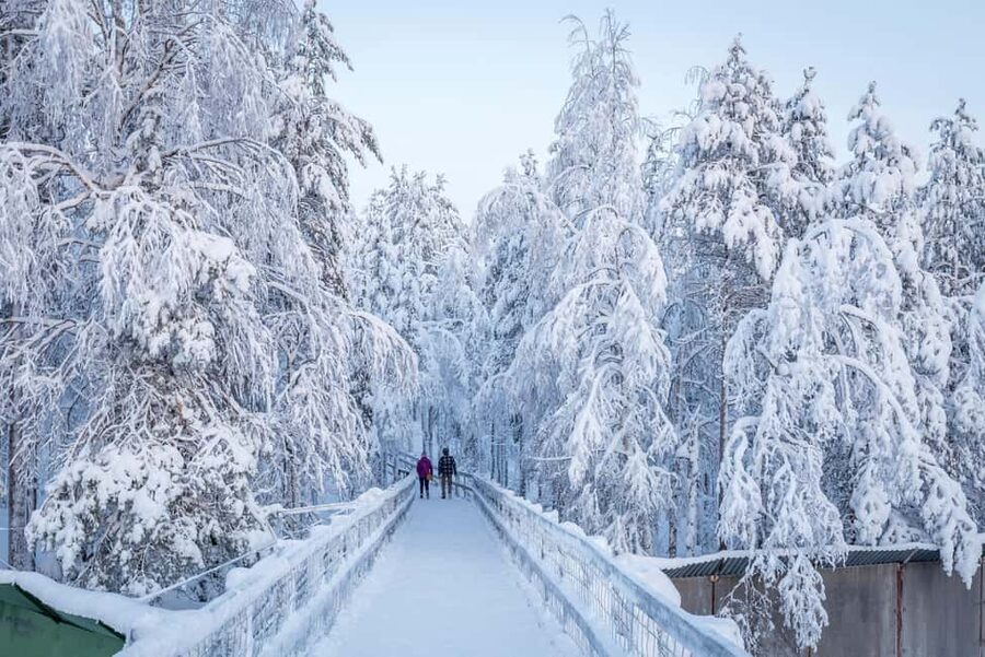 Rovaniemi: Ranua Zoo Wildlife Park Tour with hotel pickup - Should you book Ranua Zoo from Rovaniemi?