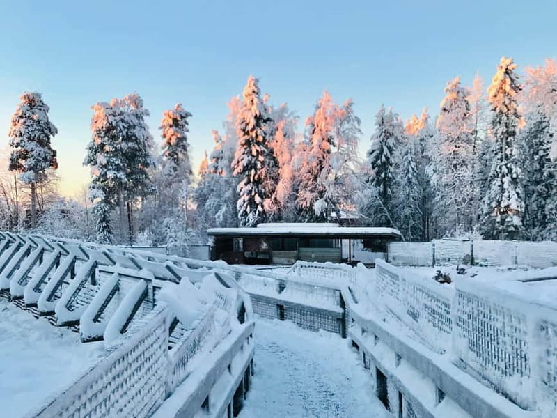Rovaniemi: Trip to Ranua Zoo with Tickets - The rare white bear: what to expect and how to plan around it