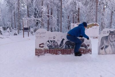 Rovaniemi: Trip to Ranua Zoo with Tickets Included - Inside Ranua Zoo: Polar Animals, a 2.5 km Walk, and What to Expect