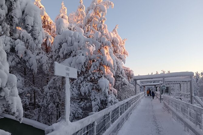 Rovaniemi: Trip to Ranua Zoo with Tickets Included - Price and Value: Is $120.15 Fair for This Ranua Zoo Day?