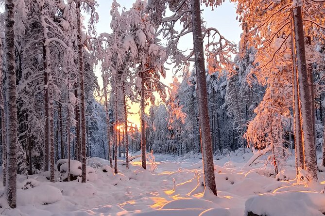 Rovaniemi: Trip to Ranua Zoo with Tickets Included - Weather and Animal Reality: How to Get the Best Day Anyway