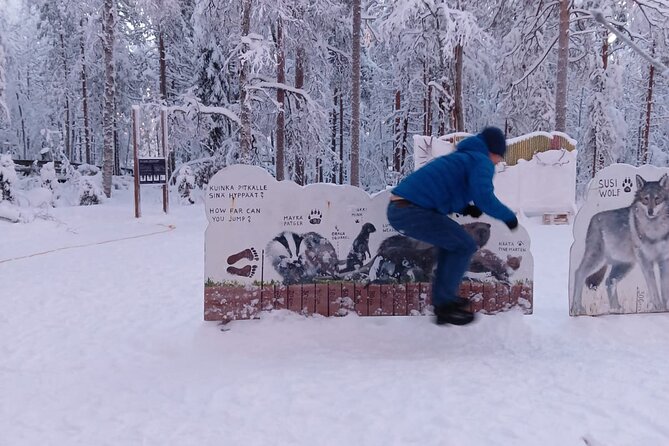 Rovaniemi: Trip to Ranua Zoo with Tickets Included - Inside Ranua Zoo: Polar Animals, a 2.5 km Walk, and What to Expect
