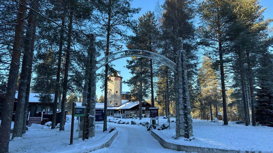 Rovaniemi: trip to the Ranua Zoo (transportation, tickets) - Tickets and on-arrival setup: no waiting around with cold weather plans
