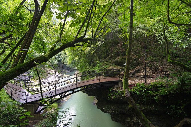Sabaduri forest, Chronicles of Georgia, wolves and bears Zoo - Wine tasting and cheesemaking class: more than snacks