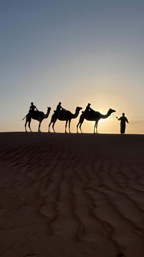 Safari World Zoo and Wahiba Sands with Sunset - Entering Wahiba Sands: where the horizon starts doing the talking