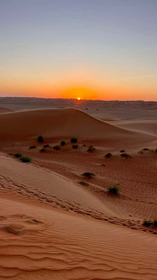 Safari World Zoo and Wahiba Sands with Sunset - Guides in the driver’s seat: English commentary and real care