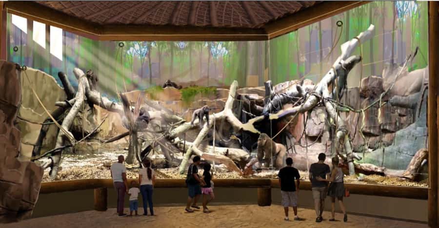 San Antonio Zoo Any Day Ticket including ZooLights - The zoo’s animal neighborhoods: what to prioritize