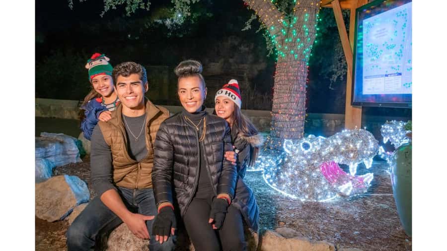 San Antonio Zoo Any Day Ticket including ZooLights - Big Cats to The Savanna: where the viewing gets real