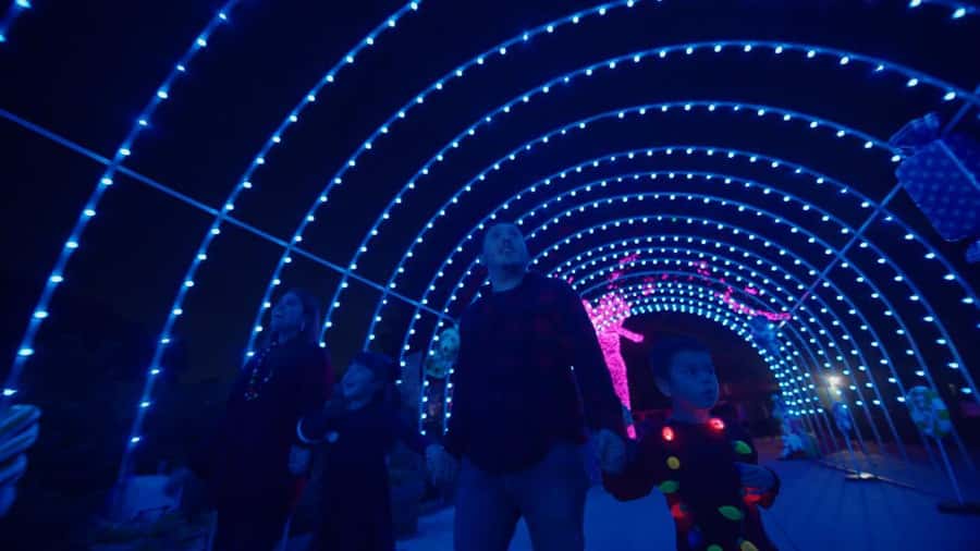 San Antonio Zoo Any Day Ticket including ZooLights - ZooLights (Nov 18–Dec 31): what changes at night