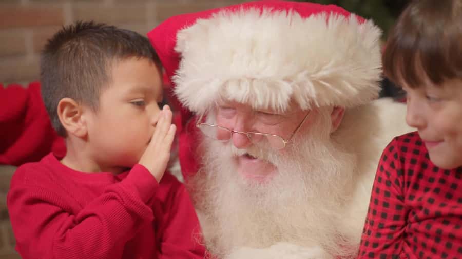 San Antonio Zoo Any Day Ticket including ZooLights - Should you book this zoo ticket?