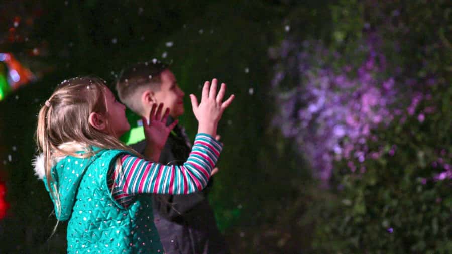 San Antonio Zoo Any Day Ticket including ZooLights - FAQ