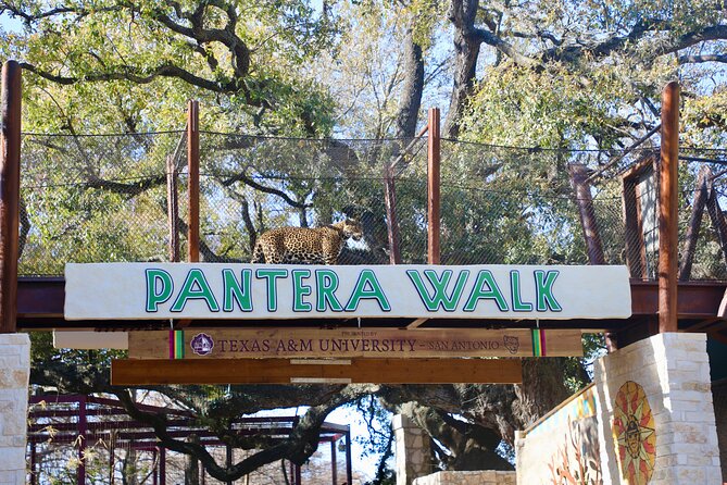 San Antonio Zoo General Admission Ticket - Value check: is $32.99 a good deal?