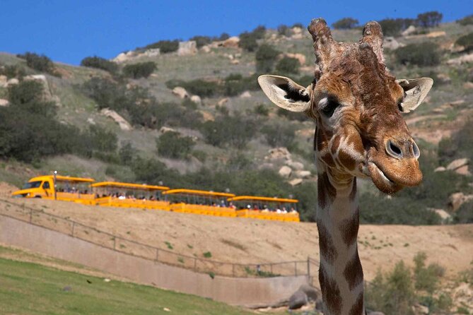 San Diego Explorer Pass: Save up to 50% - Includes San Diego Zoo - Balboa Park culture: Museum of Us, Museum of Contemporary Art, and Mingei