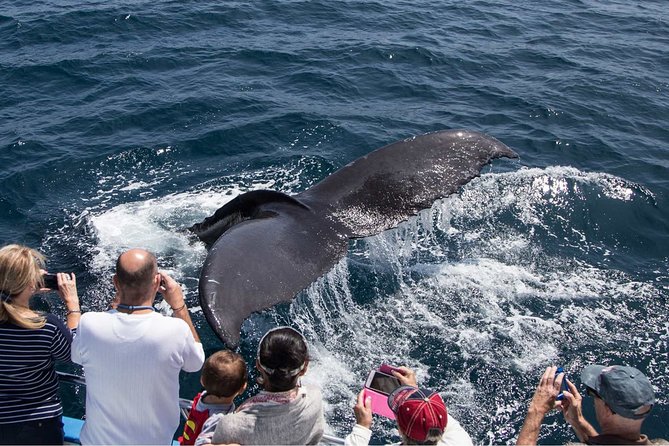 San Diego Explorer Pass: Save up to 50% - Includes San Diego Zoo - Ocean and bay time: Birch Aquarium, harbor cruises, and whale watching