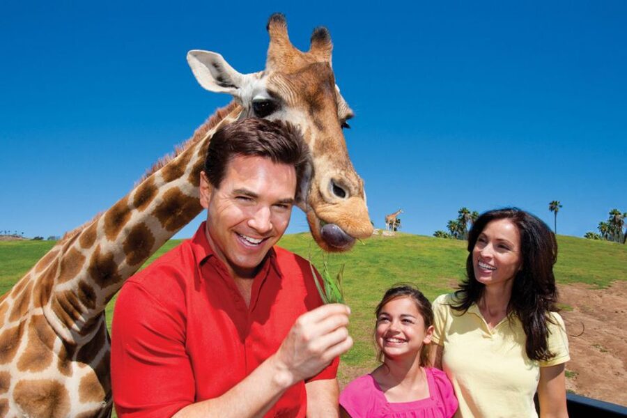 San Diego: San Diego Zoo Safari Park 1-Day Ticket - Key moments worth planning around