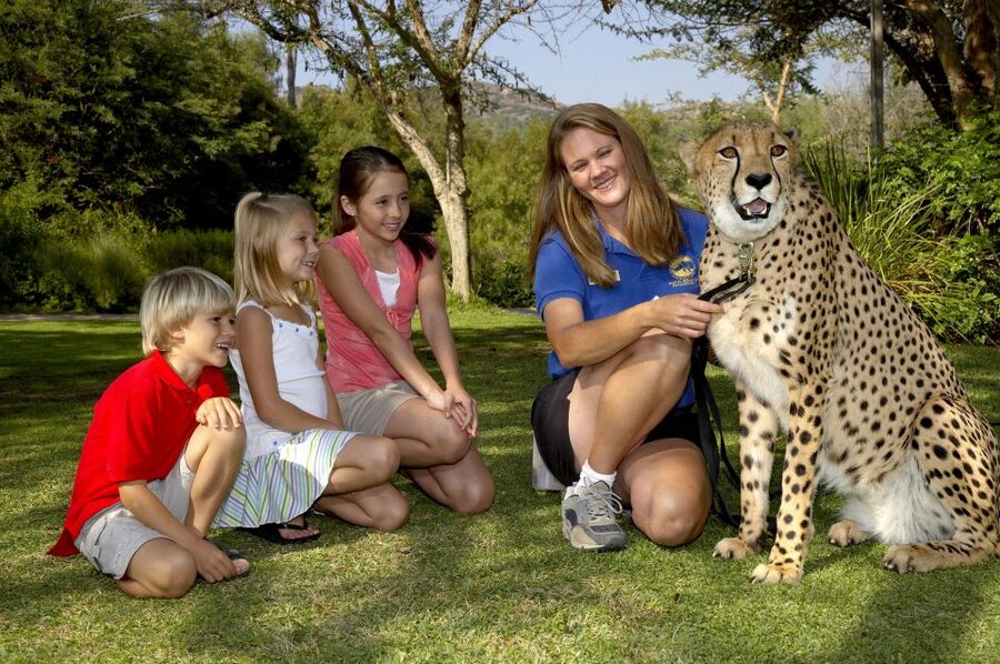 San Diego: San Diego Zoo Safari Park 1-Day Ticket - Safari Park 101: What your 1-day ticket includes (and what it doesn’t)