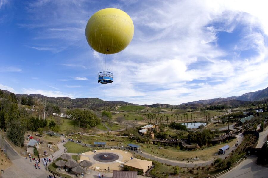San Diego: San Diego Zoo Safari Park 1-Day Ticket - Africa Tram Safari (included): your best shortcut across 1,800 acres