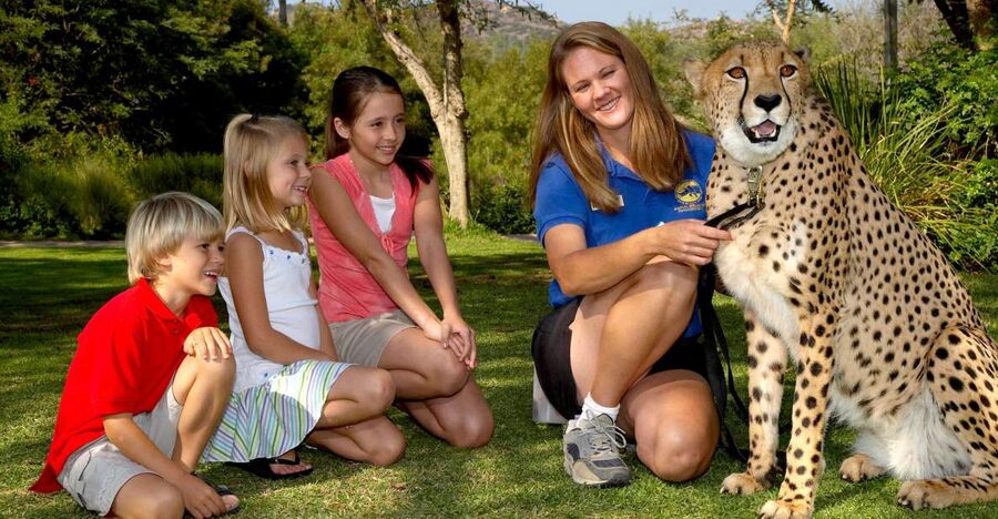San Diego: San Diego Zoo Safari Park 1-Day Ticket - Lion Camp and Heart of Africa trails: nose-to-glass and serene research stop