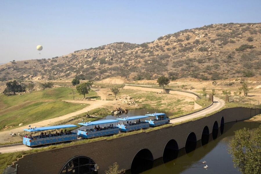 San Diego: San Diego Zoo Safari Park 1-Day Ticket - Birds that move: Wings of the World Aviary and Frequent Flyers show