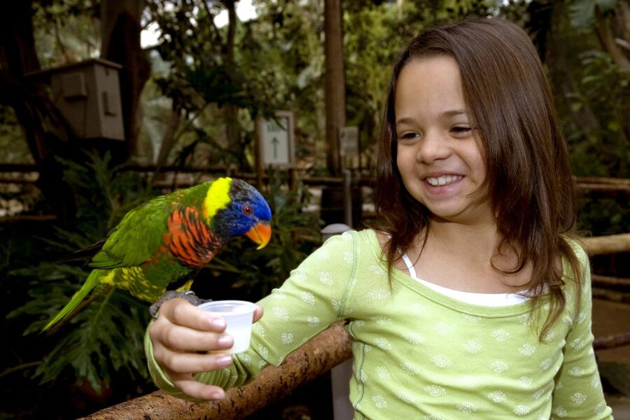 San Diego: San Diego Zoo Safari Park 1-Day Ticket - Condor Ridge: learning trail + North American wildlife sightings