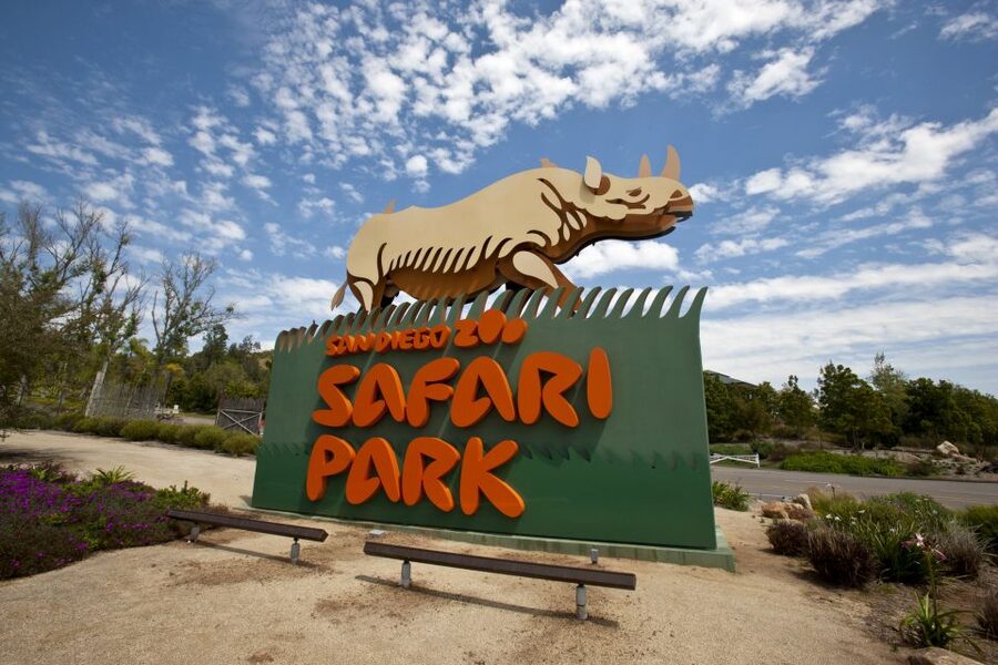 San Diego: San Diego Zoo Safari Park 1-Day Ticket - Entering at 15500 San Pasqual Valley Road: skip the ticket booth, then plan your morning