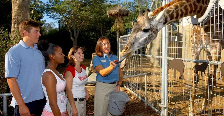 San Diego Zoo: 1-Day Admission Ticket - Key things to know before you go