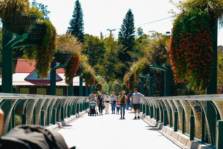 San Diego Zoo: 1-Day Admission Ticket - Other Animals to Look Out For (So You Don’t Only Chase the Headlines)