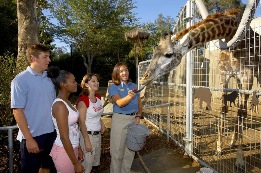 San Diego Zoo: 1-Day Admission Ticket - San Diego Zoo 1-Day Ticket: What You’re Really Paying For