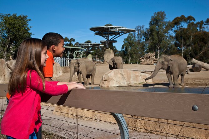 San Diego Zoo 1-Day Pass: Any Day Ticket - Panda-First Planning: How to Build a Low-Stress Route
