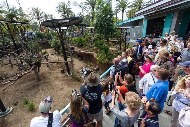 San Diego Zoo 1-Day Pass: Any Day Ticket - Tickets and Timing: What 1-Day Really Means