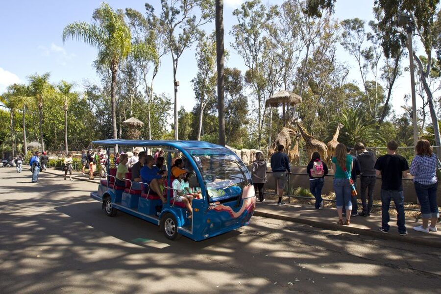 San Diego Zoo and Safari Park 2-Day Entry Ticket - Zoo extras that actually save you effort: Skyfari and the guided bus tour