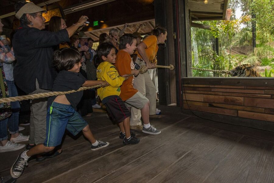 San Diego Zoo and Safari Park: 2-Day Entry Ticket - Who this two-day Zoo + Safari Park ticket fits best