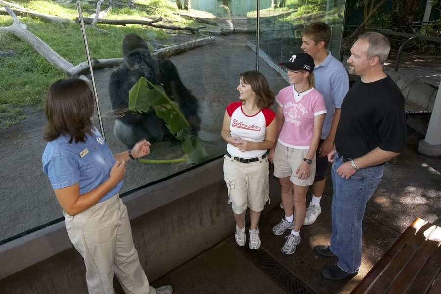 San Diego Zoo and Safari Park: 2-Day Entry Ticket - Day 1 at the San Diego Zoo: open enclosures and big animal set pieces