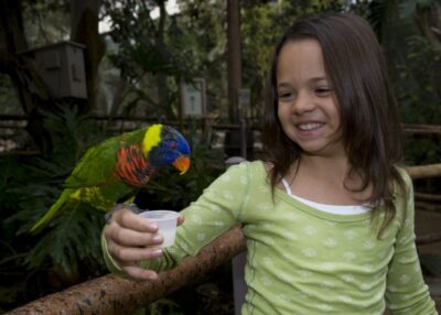 San Diego Zoo and Safari Park 2-Day Entry Ticket - Elephant Valley in 2026: the biggest habitat project you’ll hear about